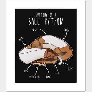 Anatomy of a Piebald Ball Python Posters and Art